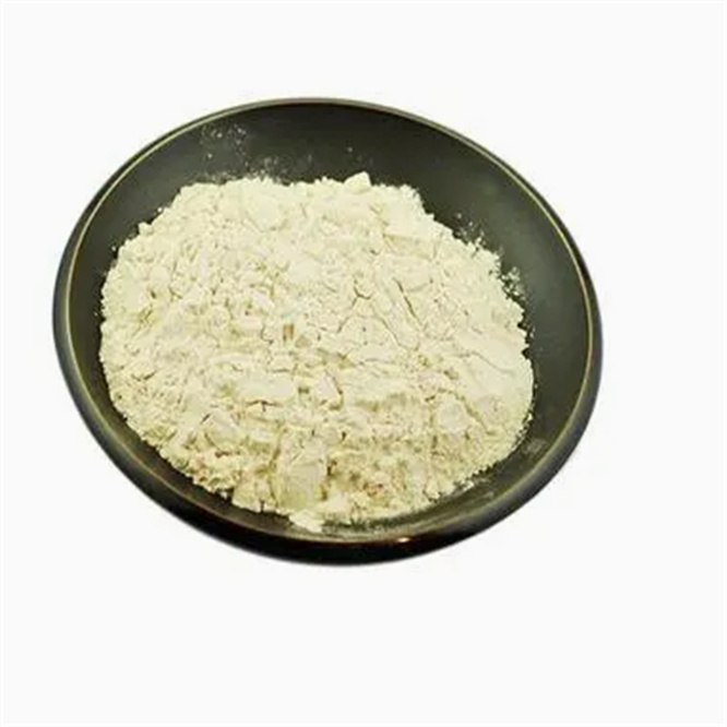 Industrial Grade API Oil Drilling Grade Xc Polymer Xanthan Gum 