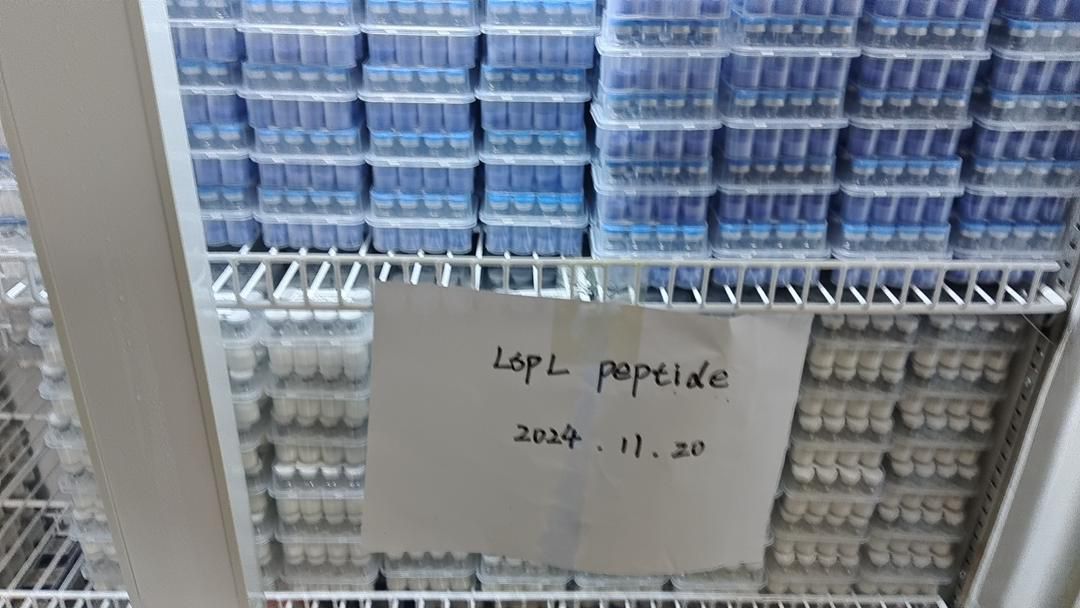 Shipping Stock